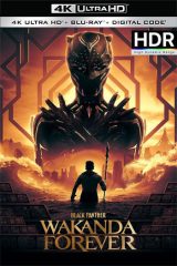 Pantera Negra: Wakanda por siempre (2022)[4K UHD HDR ][Dual][VS]