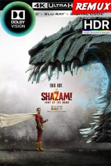 ¡Shazam! La furia de los dioses (2023) REMUX ( 4K Dolby Vision HDR )[Lat-Cas-Ing][VS]