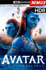 Avatar: El camino del agua (2022) (REMUX) [4K UHD HDR][Lat-Cas-Ing][VS]