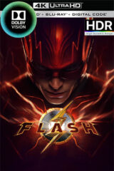 Flash (2023)(4K Dolby Visión HDR+)[Lat-Cas-Ing][1fichier]
