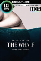 La ballena (2022)(4K Dolby Visión HDR)[Lat-Cas-Ing][VS]